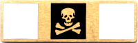 Skull and Cross Bone Commendation Bar