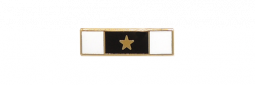 Mini Three Section Single Star Commendation Bar