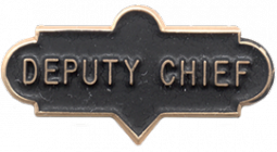 Deputy Chief Collar Insignia