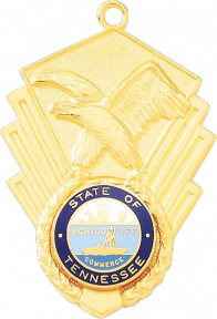 Eagle Plain Medal