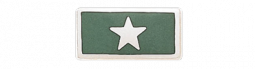 One Section Recognition Bar with Star