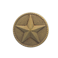 Five Point Star on Seal