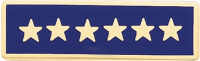Years of Service Recognition Bar