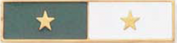 Two Section Years of Service Recognition Bar with 1 Star in each Section