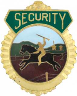 Security Tie Tac With Seal