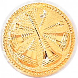 Deputy Chief Four Crossed Horns