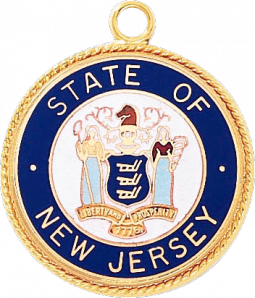 Disc with Applied Seal and Ring