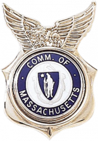 Shield with Eagle Tie Tac or Lapel Pin