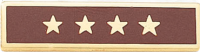 Years of Service Recognition Bar