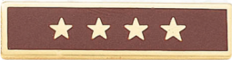 Years of Service Recognition Bar