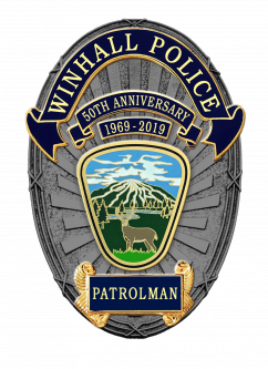 Oval Badge with Applied Reversed Enamel Panels