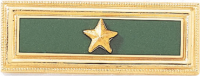 One Section Commendation Bar with Star