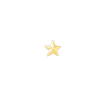 1/4" Embossed Star