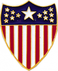 American Flag Shield Pin