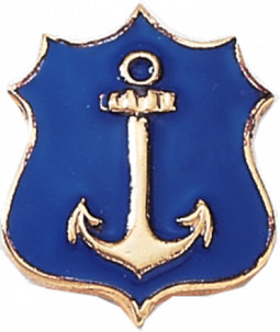 Anchor in Shield