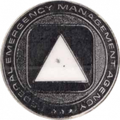 Federal Emergency Management Agency