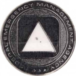 Federal Emergency Agency