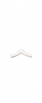 Private Rank Insignia