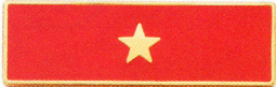 Years of Service Recognition Bar