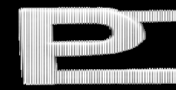 5/16" Die Struck PD Letter Combination