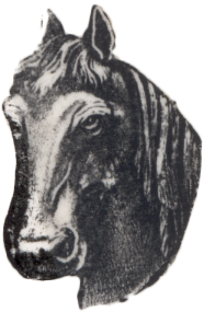 Main image of this item