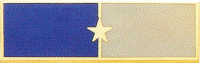 Two Section Recognition Bar with One Star in the center