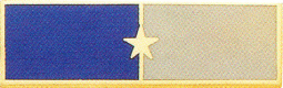 Two Section Recognition Bar with One Star in the center