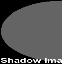 TX CAT BADGE W/APPL SEAL