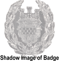 Pittsburgh Cap Badge