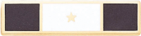 3 Section Years of Service Engravable Recognition Bar w/1 star in the center