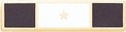 3 Section Years of Service Recognition Bar w/star in the center