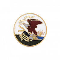 Eagle and American Flag Shield