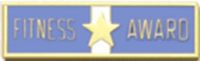 Fitness Award Commendation Bar