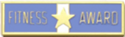 Fitness Award Commendation Bar