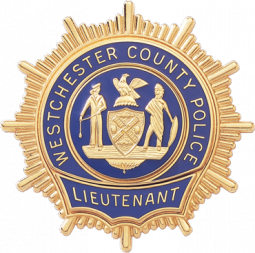 Starburst Badge with Reverse Enamel Panels