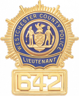 Starburst with Reverse Enamel Panels