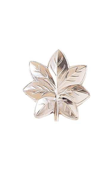 Main image of this item