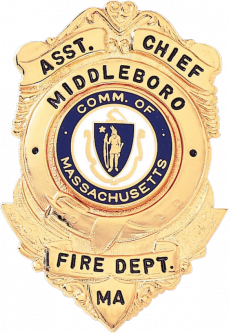 Badge with Split Top Panel and Semi Circular Panel