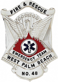 Badge with Eagle and Flames