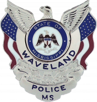 Badge with Eagle and Flags