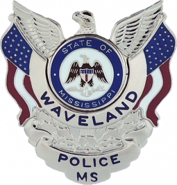 Badge with Eagle and Flags