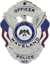 Badge with Eagle and Flags