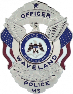 Badge with Eagle and Flags