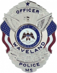 Badge with Eagle and Flags