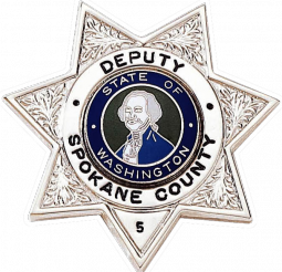 Seven Point Star Badge with Circular Panel