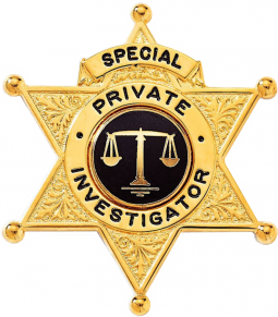 Six Point Star Badge with Balled Points