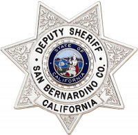 7-Point Star Badge with Circular Panel