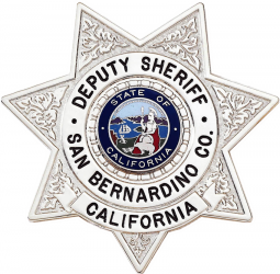 7-Point Star Badge with Circular Panel