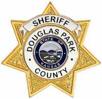 Seven Point Star Badge with Circular Panel