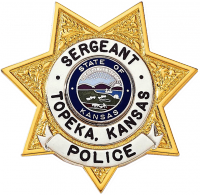 Seven Point Star Badge with Circular Panel